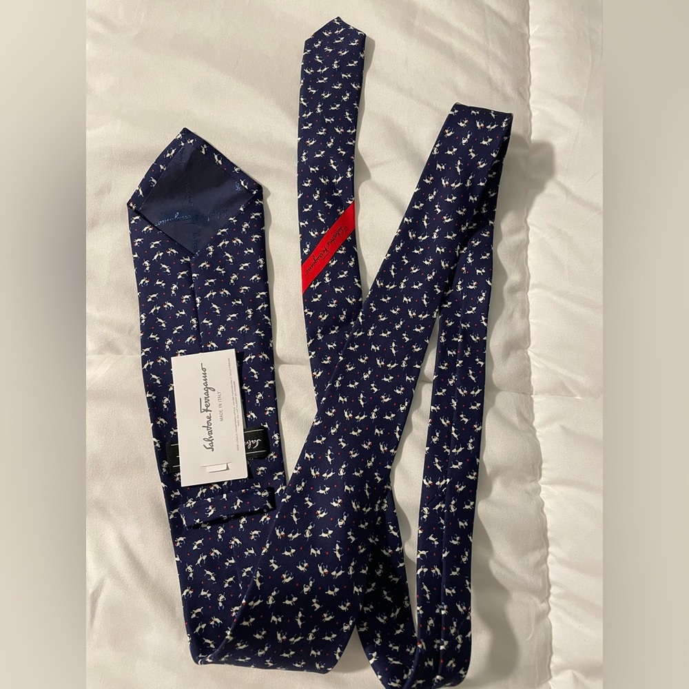Salvatore Ferragamo Men’s Tie